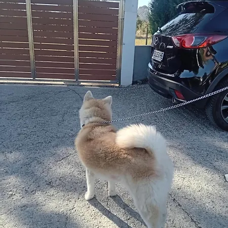 Meteora View Kalampaka