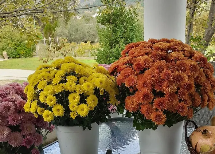 Appartement Meteora View Kalampáka